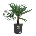 greensense aqua care round 35cm charcoal grey